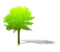 dsgn_499_tree.png